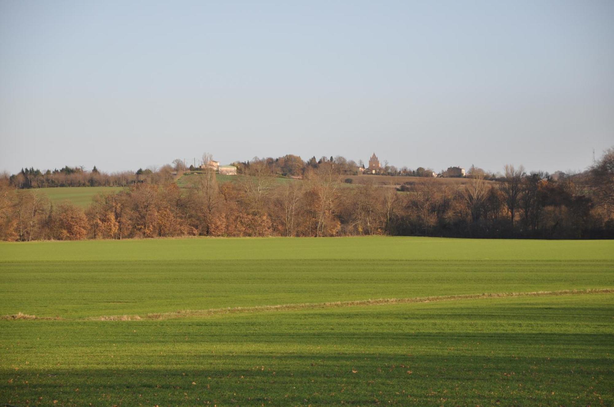 Domaine De Hurlevent Montgaillard-Lauragais Kültér fotó