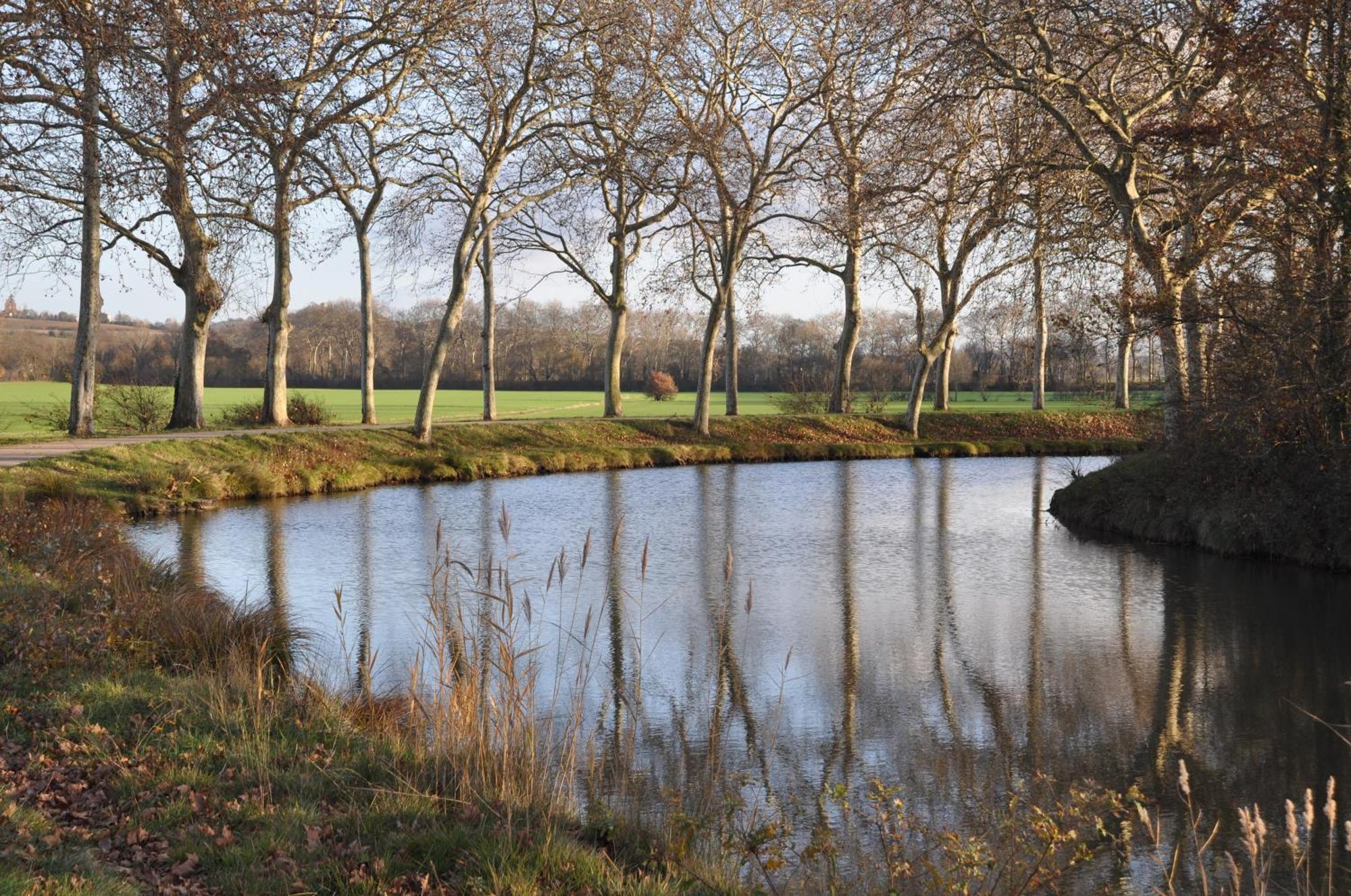 Domaine De Hurlevent Montgaillard-Lauragais Kültér fotó